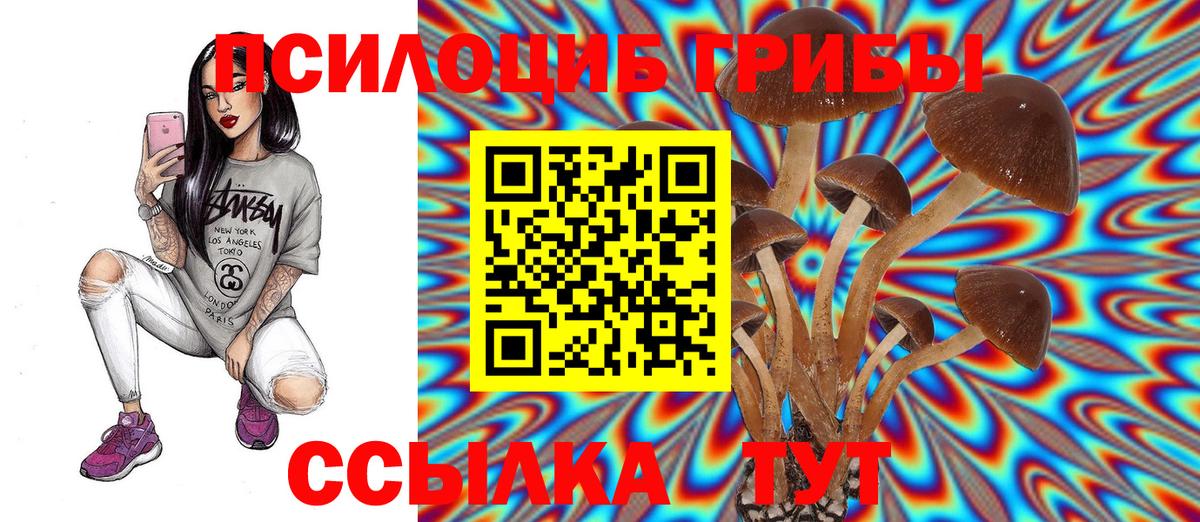 Галлюциногенные грибы GOLDEN TEACHER Каспийск